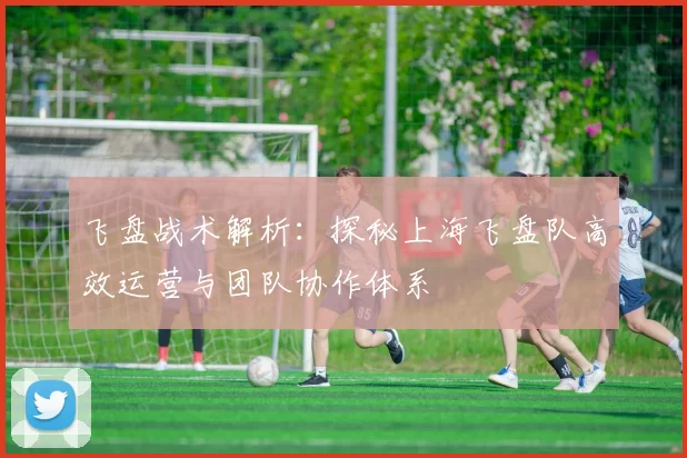 飞盘战术解析：探秘上海飞盘队高效运营与团队协作体系