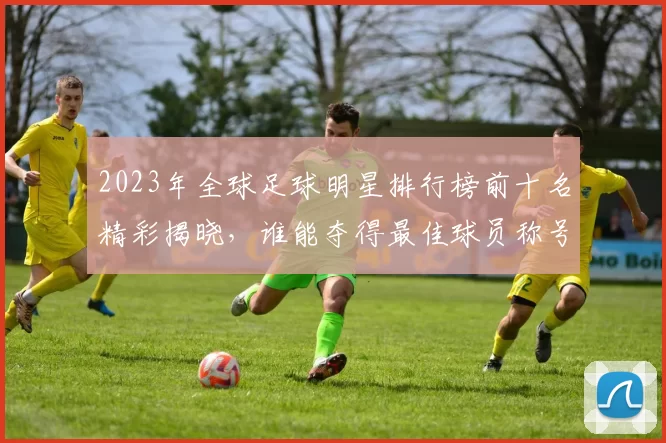 2023年全球足球明星排行榜前十名精彩揭晓，谁能夺得最佳球员称号