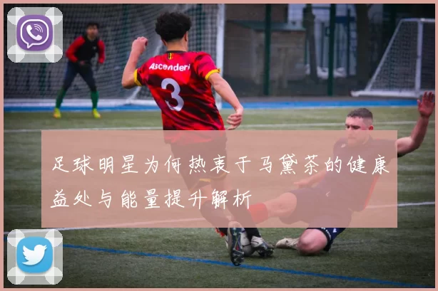 足球明星为何热衷于马黛茶的健康益处与能量提升解析