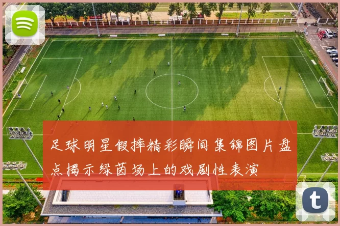 足球明星假摔精彩瞬间集锦图片盘点揭示绿茵场上的戏剧性表演