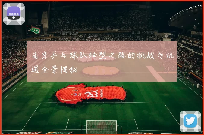 南京乒乓球队转型之路的挑战与机遇全景揭秘