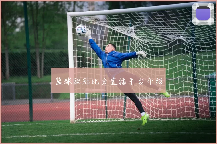 篮球欧冠比分直播平台介绍