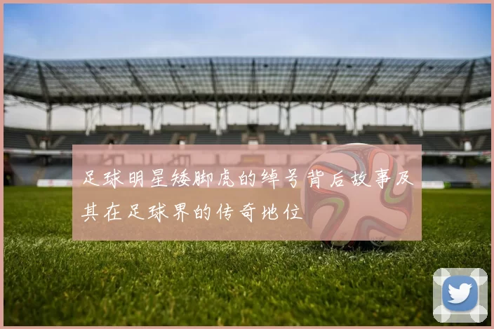 足球明星矮脚虎的绰号背后故事及其在足球界的传奇地位