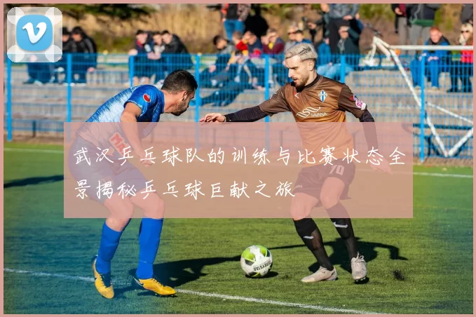 武汉乒乓球队的训练与比赛状态全景揭秘乒乓球巨献之旅