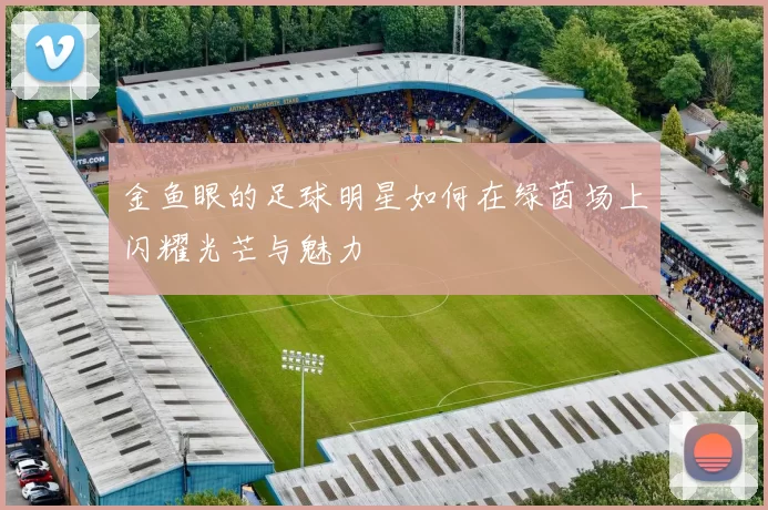 金鱼眼的足球明星如何在绿茵场上闪耀光芒与魅力