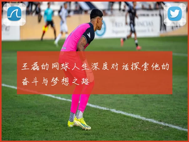 王磊的网球人生深度对话探索他的奋斗与梦想之路