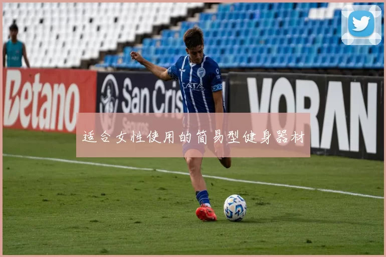 适合女性使用的简易型健身器材